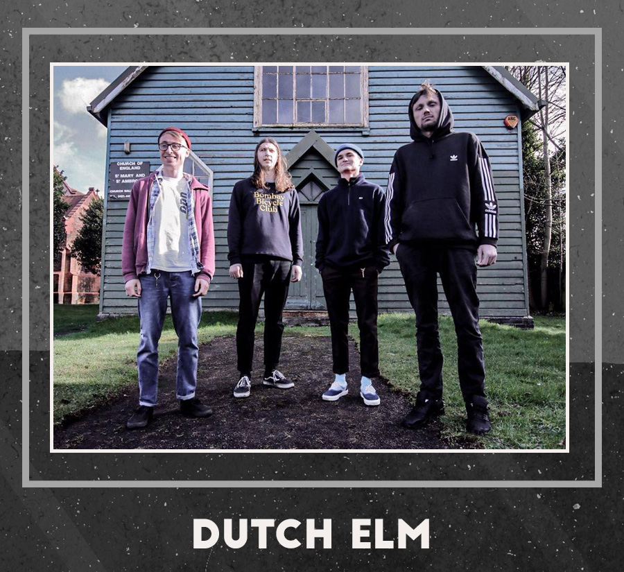 DUTCH ELM
