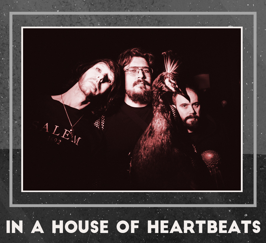 IN A HOUSE OF HEARTBEATS