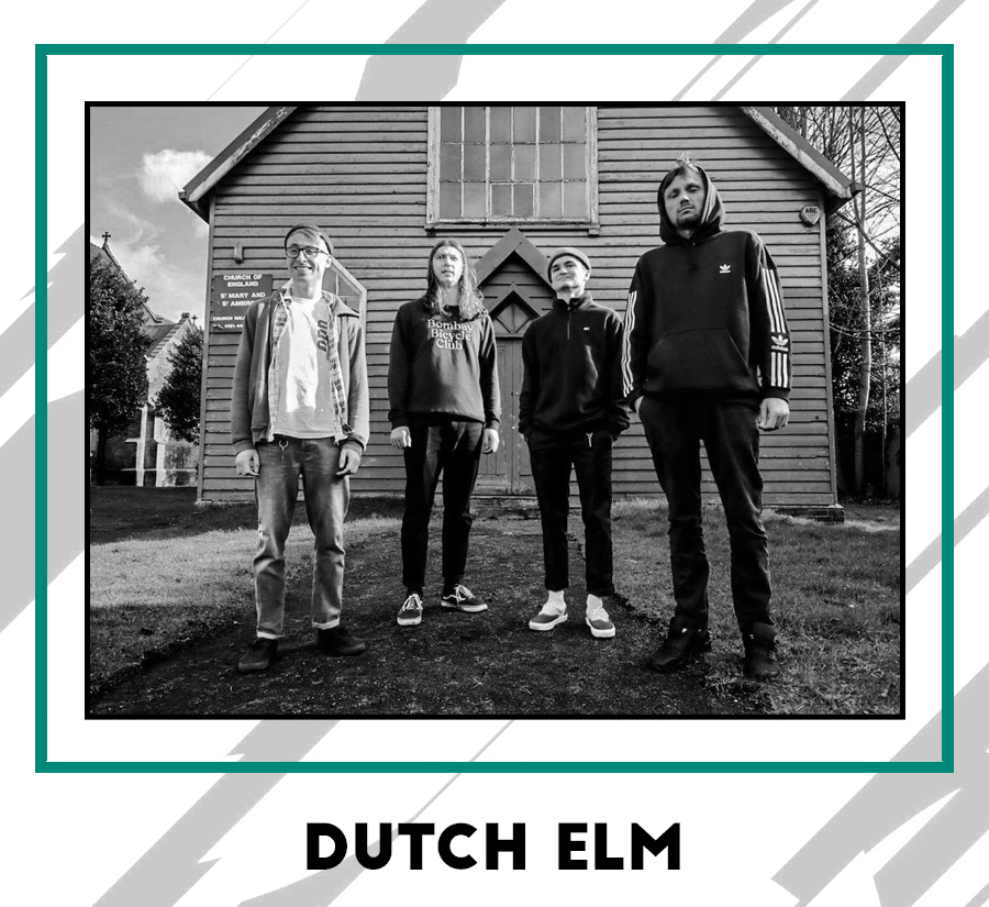 DUTCH ELM